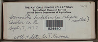 Image Associated With the Occurence